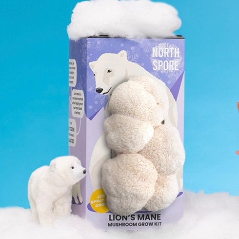 Organic Lion's Mane ‘Spray & Grow’ Polar Bear Mushroom Growing Kit